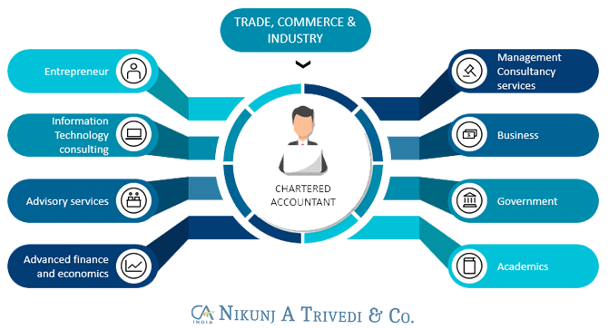 charteres Account consultant in Ahmedabad